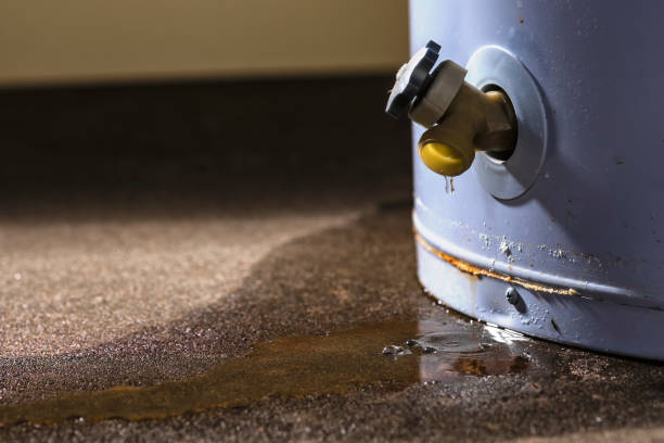 Water damage restoration mold remediation in MI