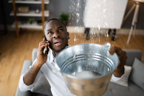 Best Mold removal after water damage  in Lamont, MI