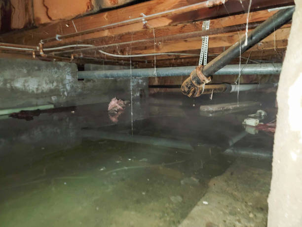 Water damage restoration insurance claims in MI