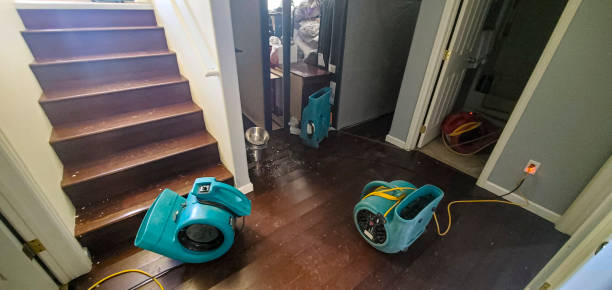 Best Ceiling water damage repair  in Lamont, MI