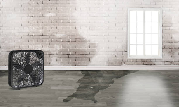 Best 24-hour water damage restoration  in Lamont, MI