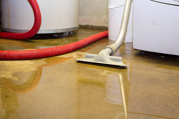 Best Flooded house restoration  in Lamont, MI