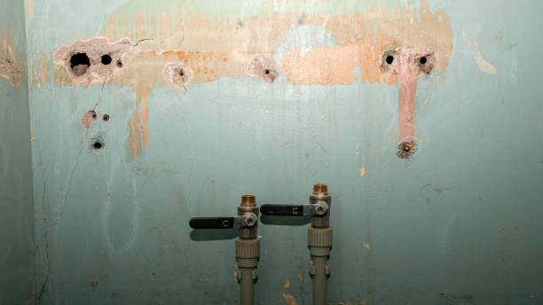 Best Water damage cleanup near me  in Lamont, MI